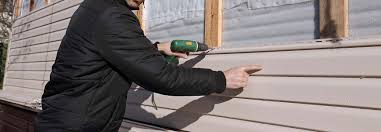 Best Historical Building Siding Restoration  in Sunrise Manor, NV